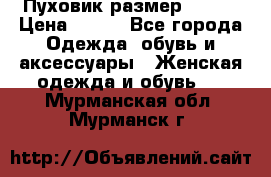 Пуховик размер 42-44 › Цена ­ 750 - Все города Одежда, обувь и аксессуары » Женская одежда и обувь   . Мурманская обл.,Мурманск г.